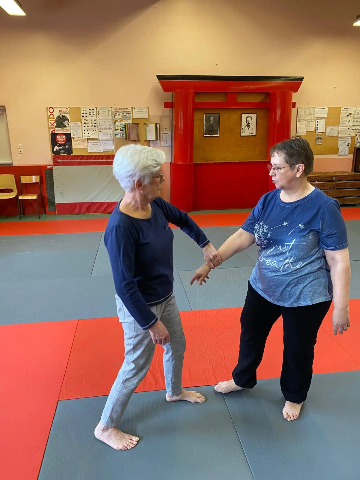Démonstration-à-deux-technique-senior démonstration d'une technique self defense par l'Aïkido Santé Senior