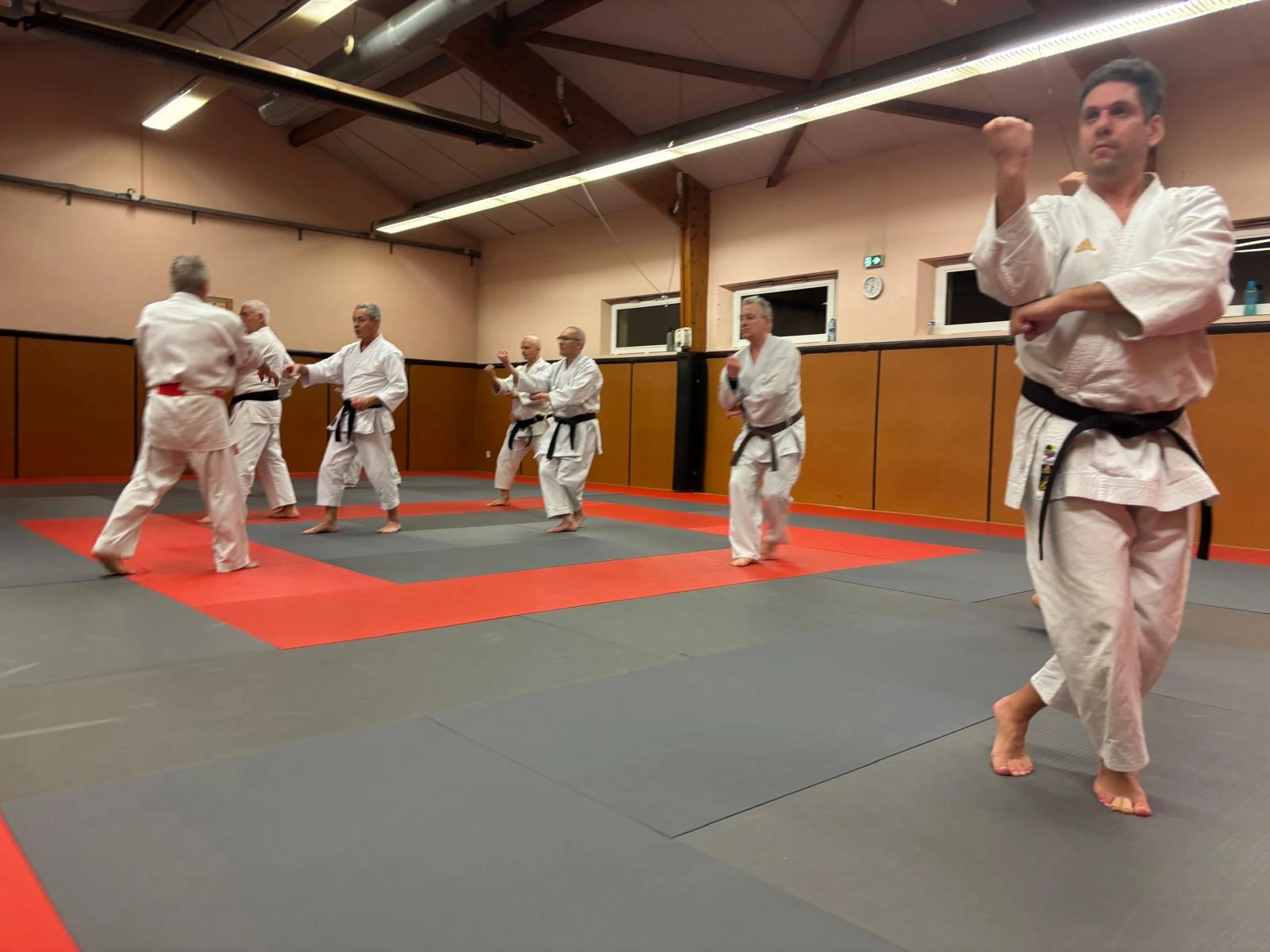 Kata en Karaté Kata en Karaté Shito-Ryu. On voit les élèves en faire une démonstration