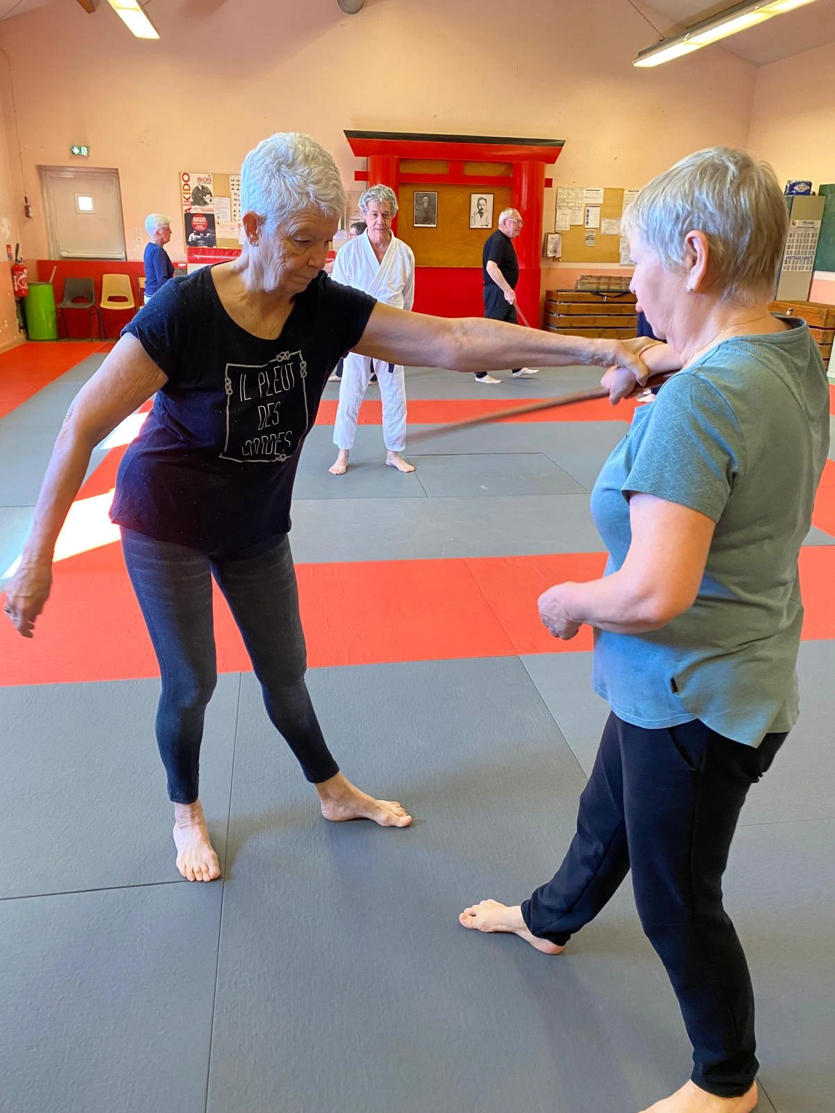 démonstration à deux sur une technique de bokken Défense contre une attaque au bokken en Aîkido Santé Senior